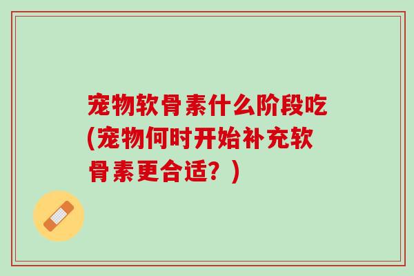 宠物软骨素什么阶段吃(宠物何时开始补充软骨素更合适？)