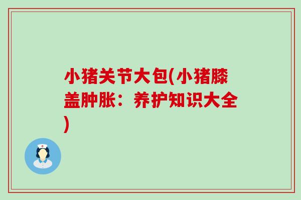 小猪关节大包(小猪膝盖肿胀：养护知识大全)