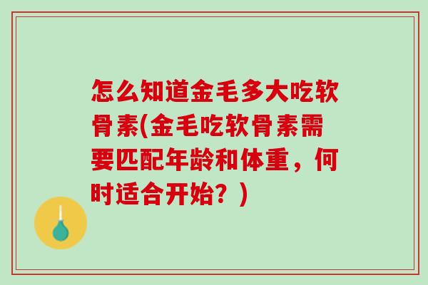 怎么知道金毛多大吃软骨素(金毛吃软骨素需要匹配年龄和体重，何时适合开始？)