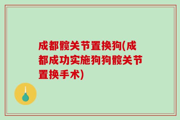成都髋关节置换狗(成都成功实施狗狗髋关节置换手术)