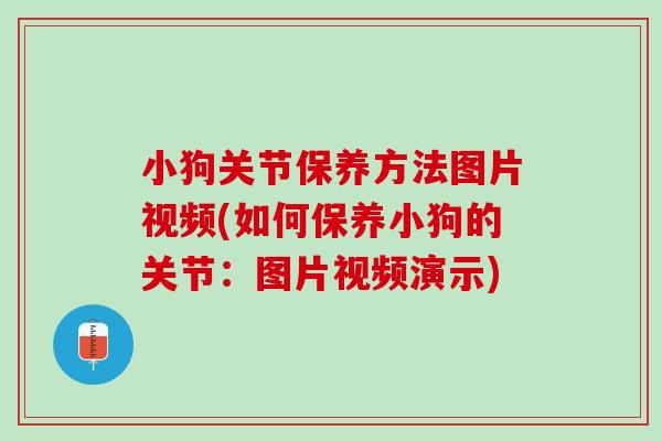 小狗关节保养方法图片视频(如何保养小狗的关节：图片视频演示)