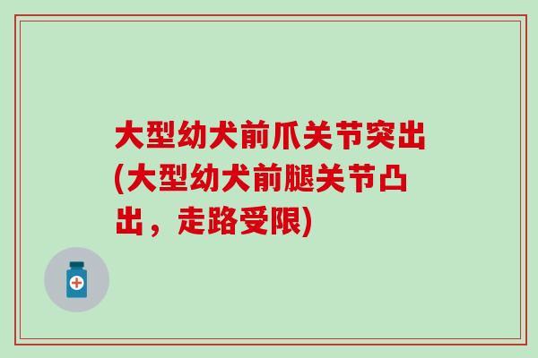 大型幼犬前爪关节突出(大型幼犬前腿关节凸出，走路受限)