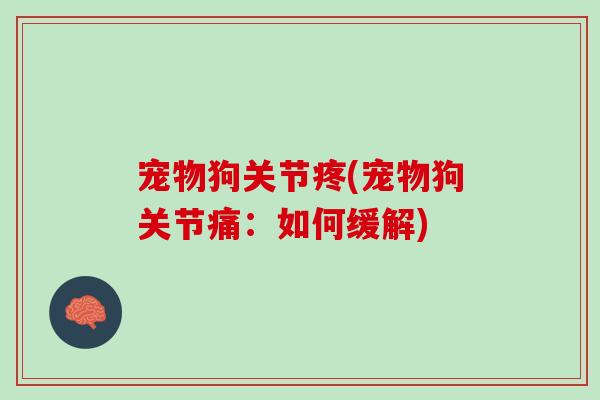 宠物狗关节疼(宠物狗关节痛：如何缓解)