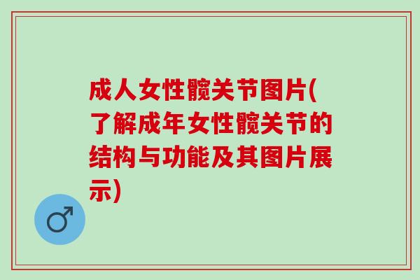 成人女性髋关节图片(了解成年女性髋关节的结构与功能及其图片展示)