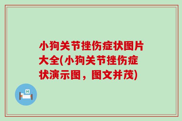 小狗关节挫伤症状图片大全(小狗关节挫伤症状演示图，图文并茂)