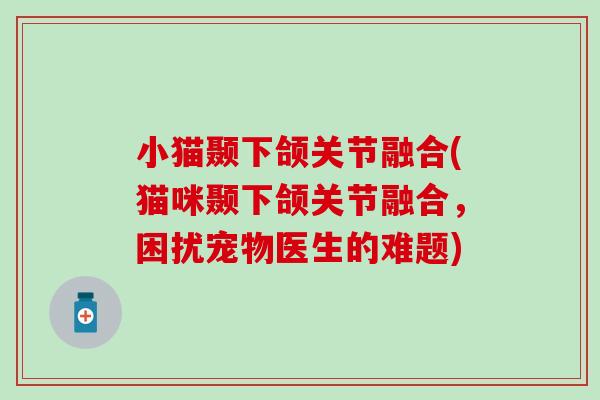 小猫颞下颌关节融合(猫咪颞下颌关节融合，困扰宠物医生的难题)