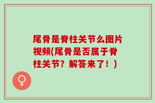 尾骨是脊柱关节么图片视频(尾骨是否属于脊柱关节？解答来了！)