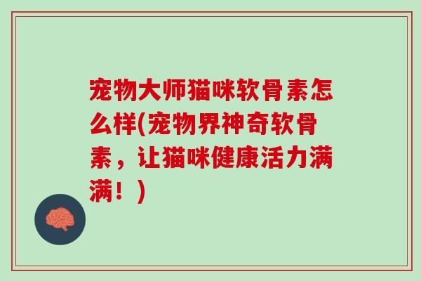 宠物大师猫咪软骨素怎么样(宠物界神奇软骨素，让猫咪健康活力满满！)