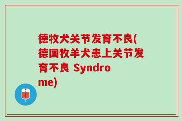 德牧犬关节发育不良(德国牧羊犬患上关节发育不良 Syndrome)