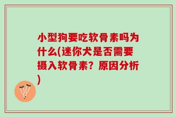 小型狗要吃软骨素吗为什么(迷你犬是否需要摄入软骨素？原因分析)