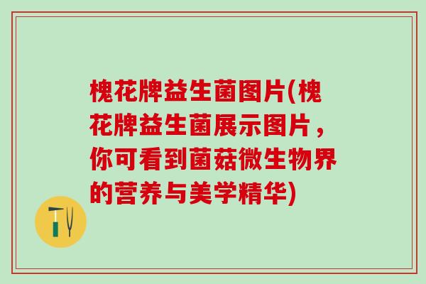 槐花牌益生菌图片(槐花牌益生菌展示图片，你可看到菌菇微生物界的营养与美学精华)