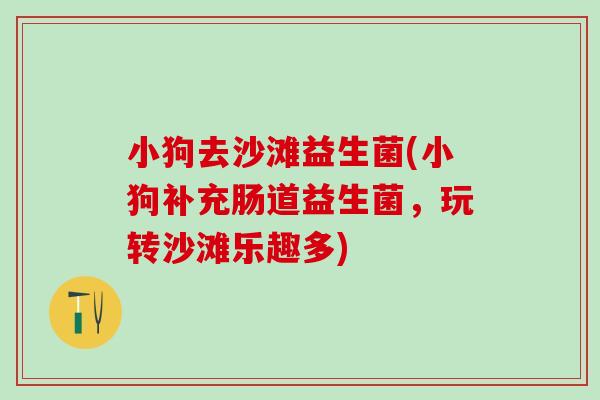 小狗去沙滩益生菌(小狗补充肠道益生菌，玩转沙滩乐趣多)