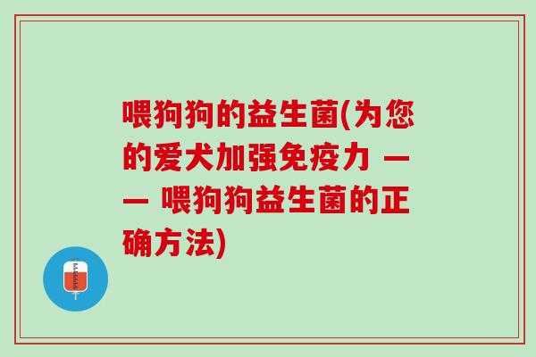 喂狗狗的益生菌(为您的爱犬加强免疫力 —— 喂狗狗益生菌的正确方法)