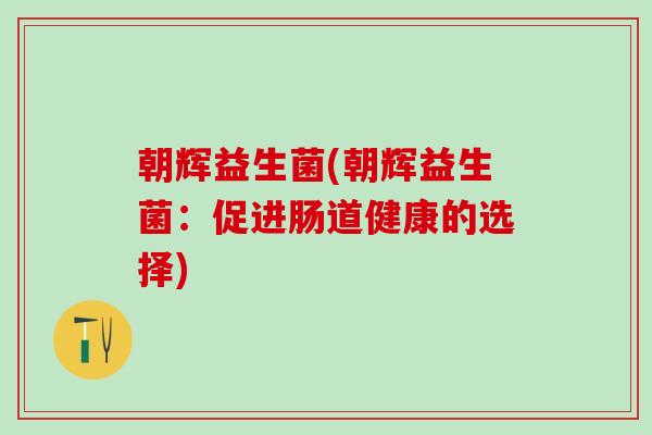 朝辉益生菌(朝辉益生菌：促进肠道健康的选择)