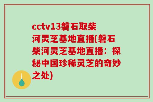 cctv13磐石取柴河灵芝基地直播(磐石柴河灵芝基地直播：探秘中国珍稀灵芝的奇妙之处)