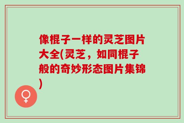 像棍子一样的灵芝图片大全(灵芝，如同棍子般的奇妙形态图片集锦)