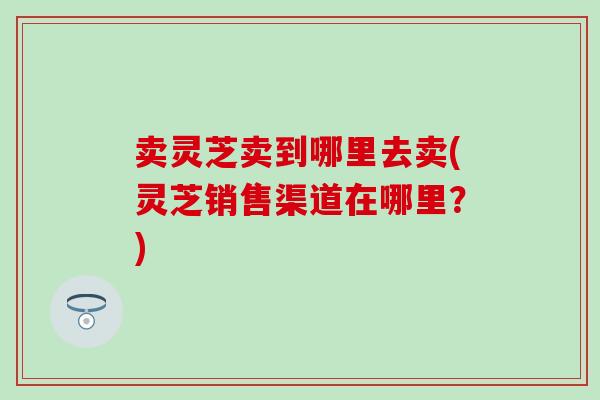 卖灵芝卖到哪里去卖(灵芝销售渠道在哪里？)