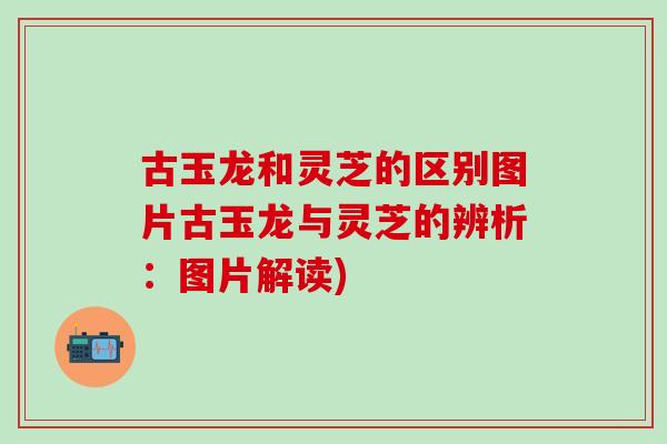 古玉龙和灵芝的区别图片古玉龙与灵芝的辨析：图片解读)