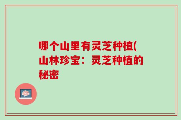 哪个山里有灵芝种植(山林珍宝：灵芝种植的秘密