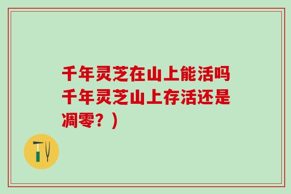 千年灵芝在山上能活吗千年灵芝山上存活还是凋零?) 千年灵芝在山上能活吗千年灵芝山上存活还是凋零?)