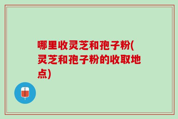 哪里收灵芝和孢子粉(灵芝和孢子粉的收取地点)