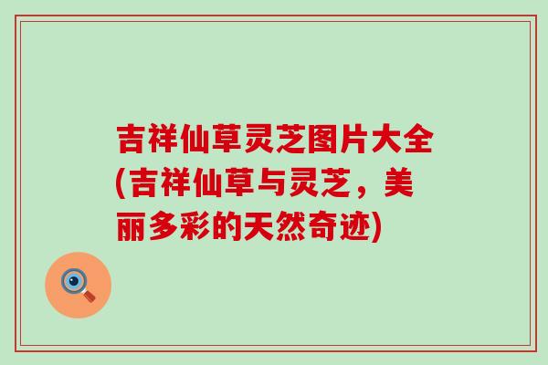 吉祥仙草灵芝图片大全(吉祥仙草与灵芝，美丽多彩的天然奇迹)