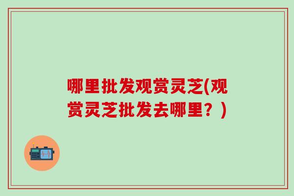 哪里批发观赏灵芝(观赏灵芝批发去哪里？)