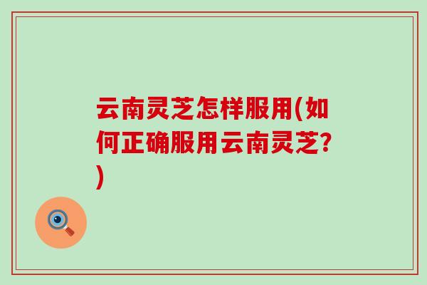 云南灵芝怎样服用(如何正确服用云南灵芝？)