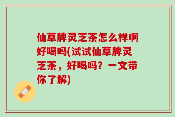仙草牌灵芝茶怎么样啊好喝吗(试试仙草牌灵芝茶，好喝吗？一文带你了解)