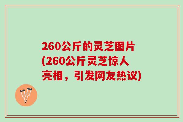 260公斤的灵芝图片(260公斤灵芝惊人亮相，引发网友热议)