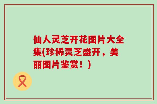 仙人灵芝开花图片大全集(珍稀灵芝盛开，美丽图片鉴赏！)