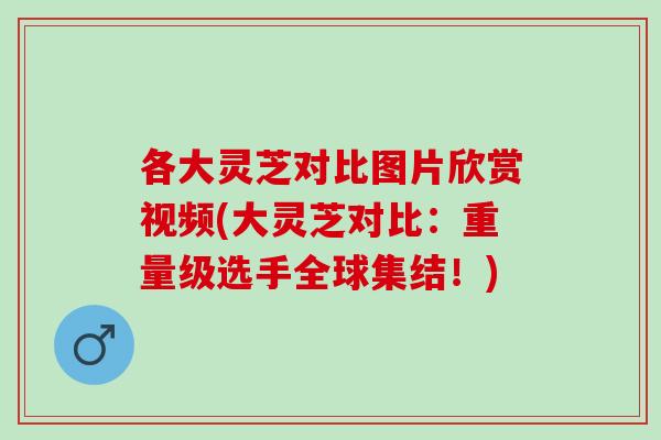 各大灵芝对比图片欣赏视频(大灵芝对比：重量级选手全球集结！)