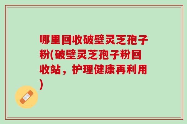 哪里回收破壁灵芝孢子粉(破壁灵芝孢子粉回收站，护理健康再利用)