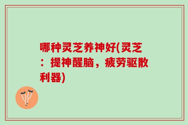 哪种灵芝养神好(灵芝：提神醒脑，疲劳驱散利器)