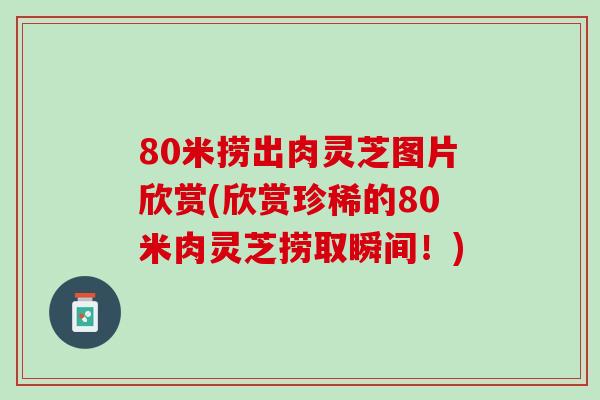 80米捞出肉灵芝图片欣赏(欣赏珍稀的80米肉灵芝捞取瞬间！)