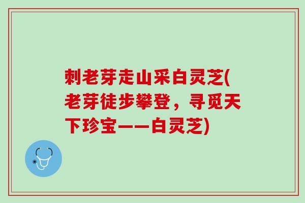 刺老芽走山采白灵芝(老芽徒步攀登，寻觅天下珍宝——白灵芝)