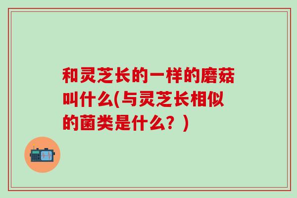和灵芝长的一样的磨菇叫什么(与灵芝长相似的菌类是什么？)