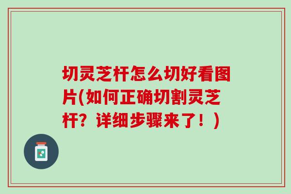 切灵芝杆怎么切好看图片(如何正确切割灵芝杆？详细步骤来了！)
