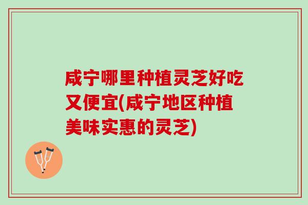 咸宁哪里种植灵芝好吃又便宜(咸宁地区种植美味实惠的灵芝)