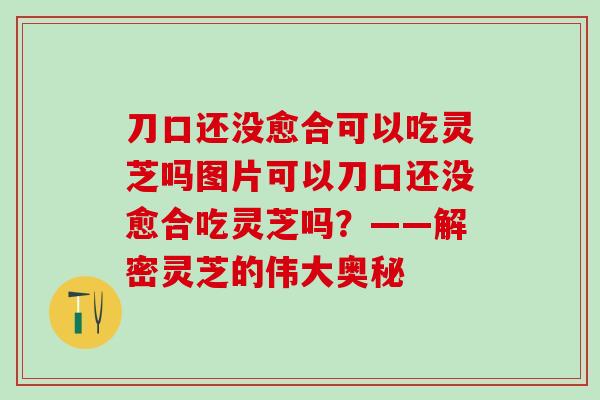 刀口还没愈合可以吃灵芝吗图片可以刀口还没愈合吃灵芝吗？——解密灵芝的伟大奥秘