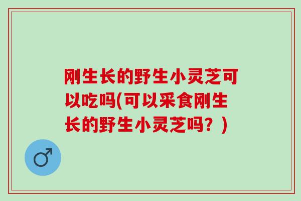 刚生长的野生小灵芝可以吃吗(可以采食刚生长的野生小灵芝吗？)