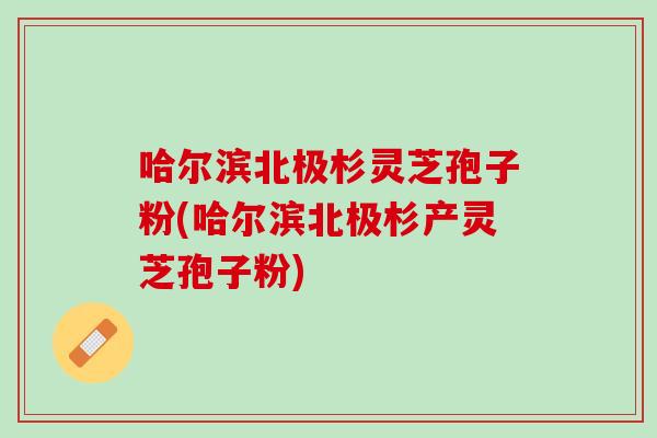 哈尔滨北极杉灵芝孢子粉(哈尔滨北极杉产灵芝孢子粉)