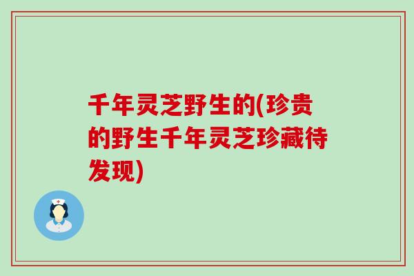 千年灵芝野生的(珍贵的野生千年灵芝珍藏待发现)