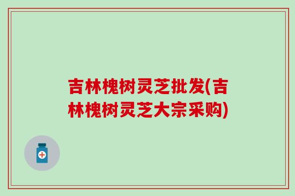 吉林槐树灵芝批发(吉林槐树灵芝大宗采购)