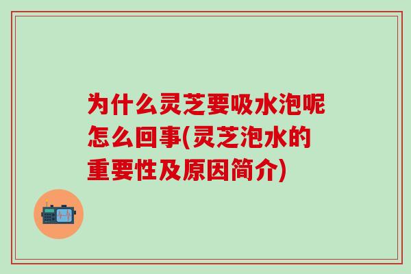 为什么灵芝要吸水泡呢怎么回事(灵芝泡水的重要性及原因简介)