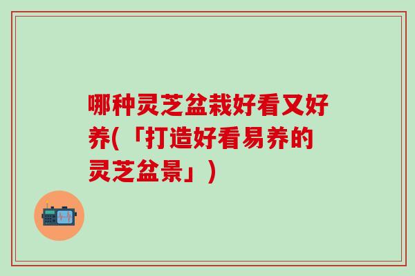 哪种灵芝盆栽好看又好养(「打造好看易养的灵芝盆景」)