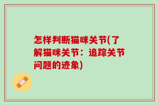 怎样判断猫咪关节(了解猫咪关节：追踪关节问题的迹象)