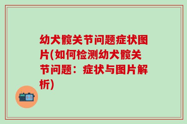 幼犬髋关节问题症状图片(如何检测幼犬髋关节问题：症状与图片解析)