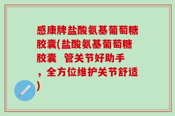 感康牌盐酸氨基葡萄糖胶囊(盐酸氨基葡萄糖胶囊  管关节好助手，全方位维护关节舒适)