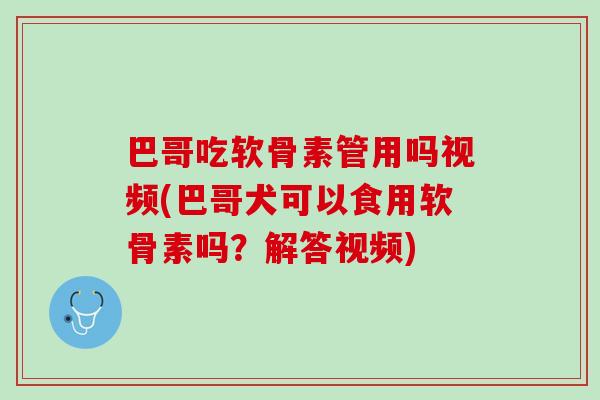巴哥吃软骨素管用吗视频(巴哥犬可以食用软骨素吗？解答视频)